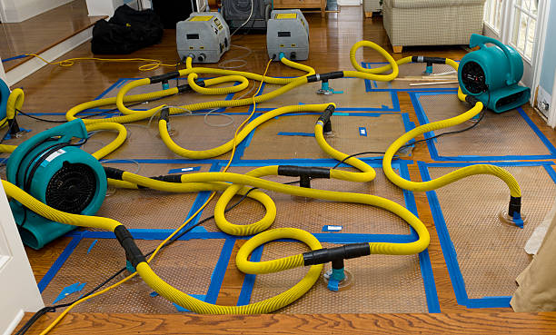 Professional Structural Drying And Dehumidification technician working in Caddo Mills, TX